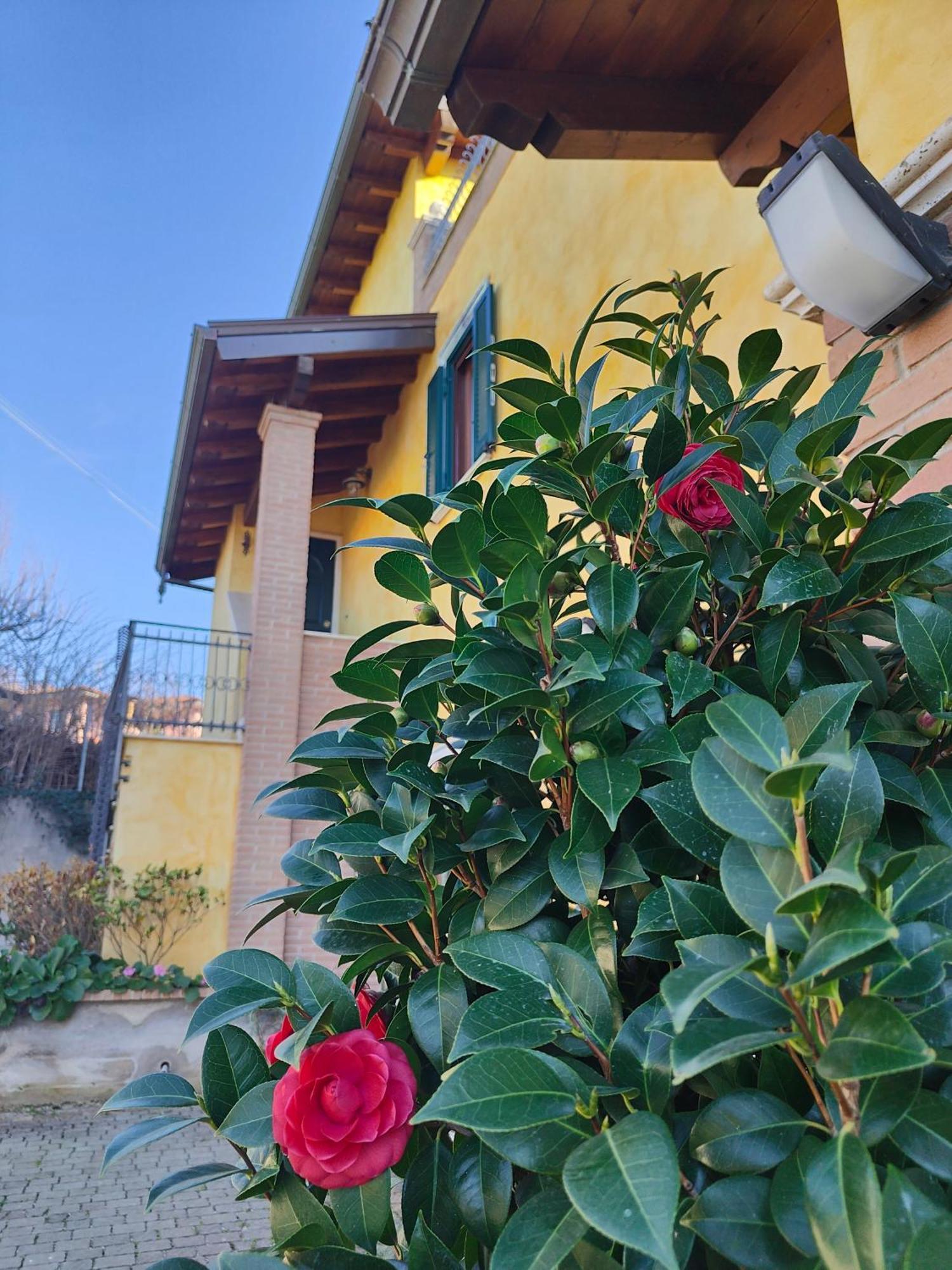 B&B Camera Delle Camelie Palestrina Ngoại thất bức ảnh